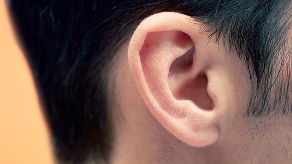 Audiology