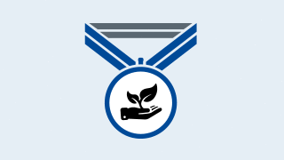 Mentoring Award graphic