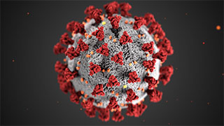 Image of coronavirus against a black backdrop