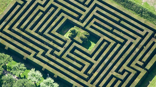 Digestive and Liver Diseases