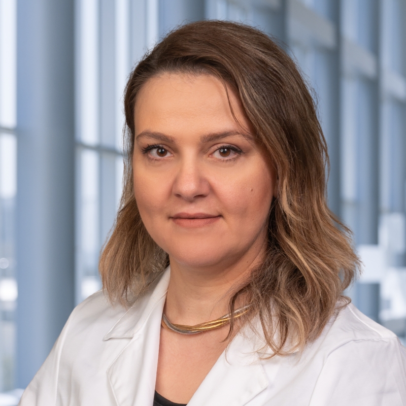 Hanine El Haddad, M.D.