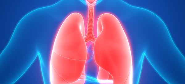 Ex Vivo Lung Perfusion