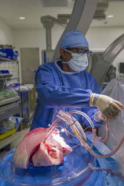 Donor lungs being connected to the ex-vivo lung perfusion pump after cannulation by Dr. John Murala, Surgical Director of the EVLP program.
