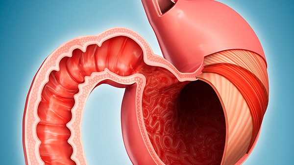 General Gastrointestinal Surgery