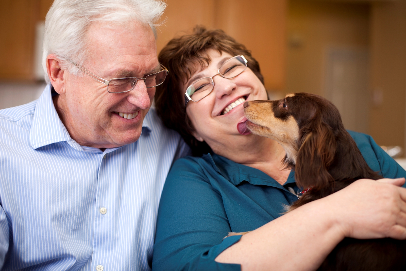 Older couple wearing glasses and woman hugging dog