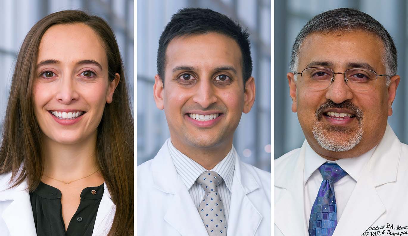 Drs. Hannah Lehrenbaum, Rahul Sheth, and Pradeep Mammen