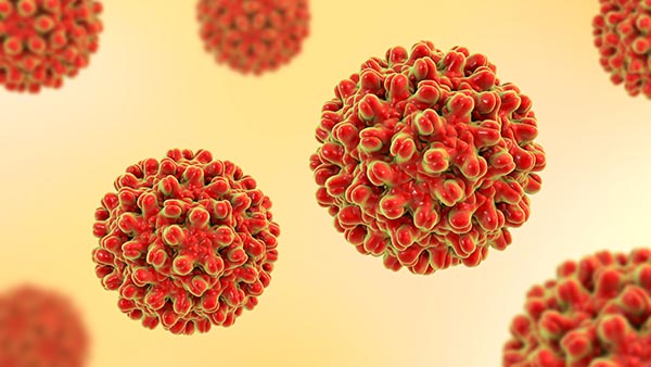 Hepatitis B