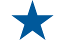 Rising Star Award