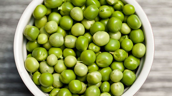 Nutrition - Internal Medicine Subspecialties Clinic