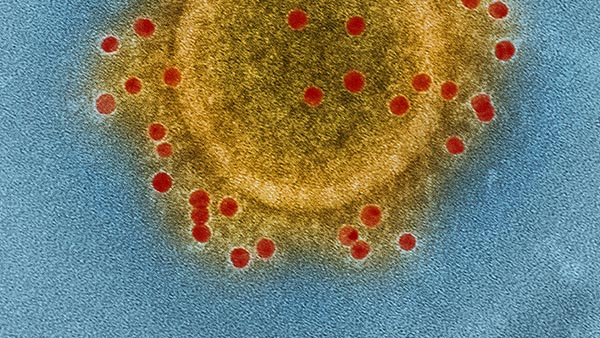 Infectious Diseases - Internal Medicine Subspecialties Clinic