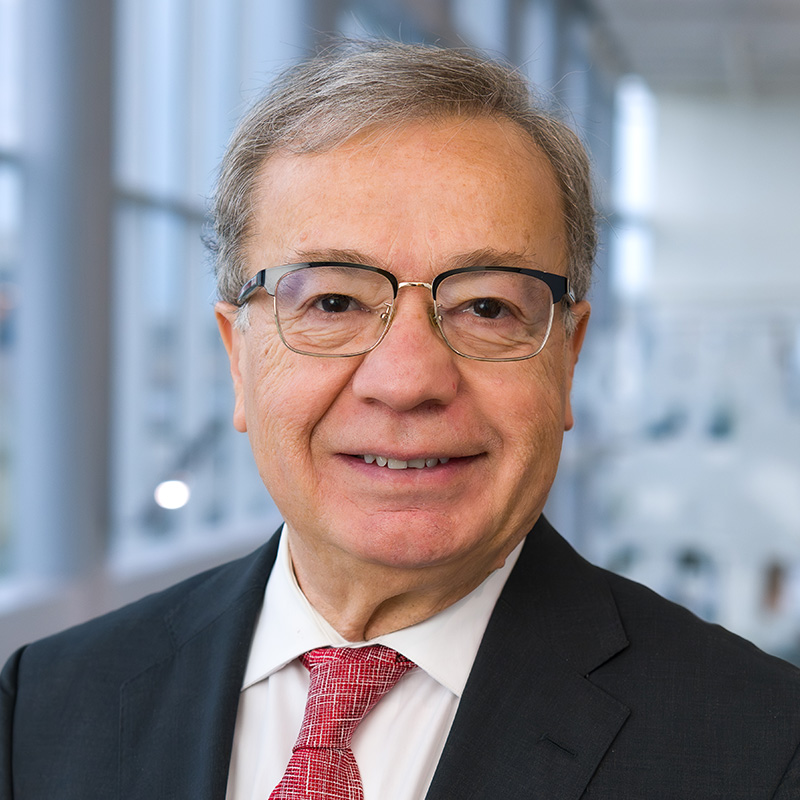 Kamel Itani, M.D.