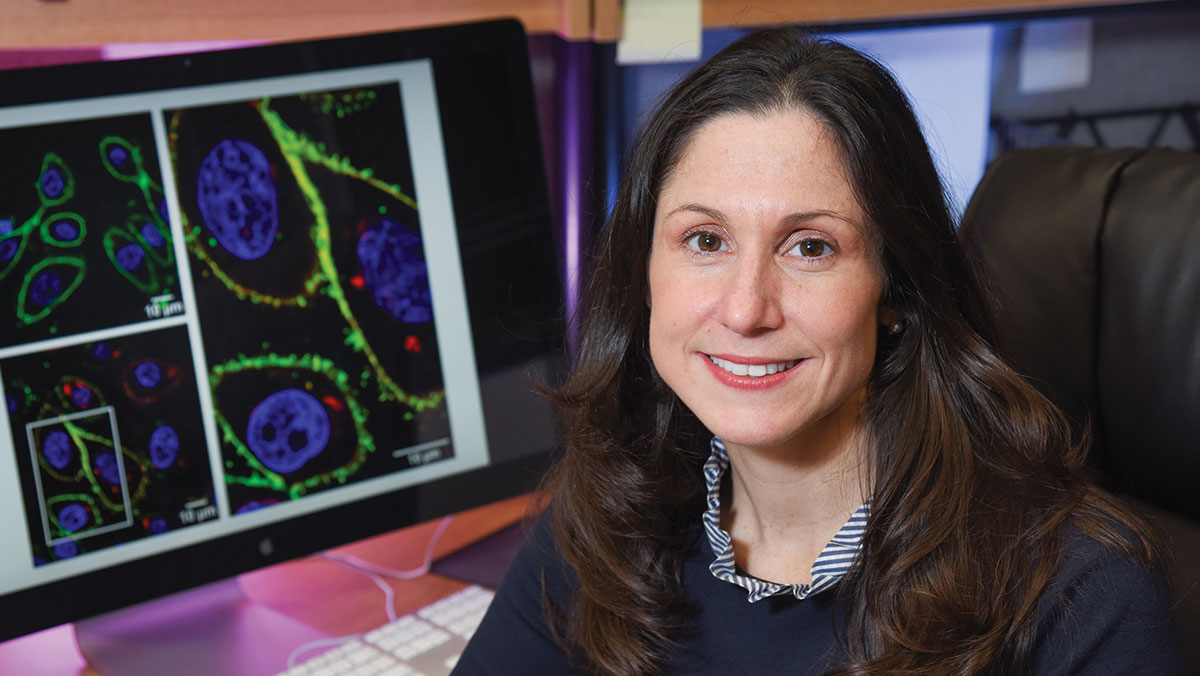 Four Prominent Research Projects with Therapeutic Implications Take Shape