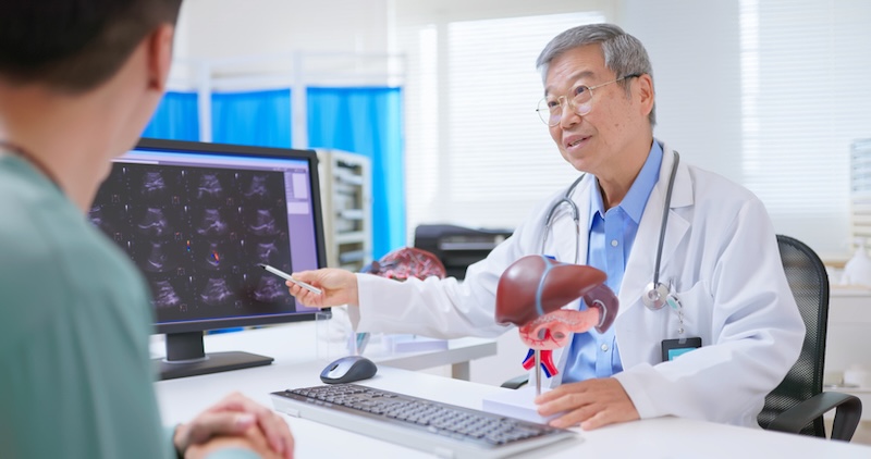 Doctor explaining liver condition using ultrasound images and 3D liver model to young patient in medical consultation room