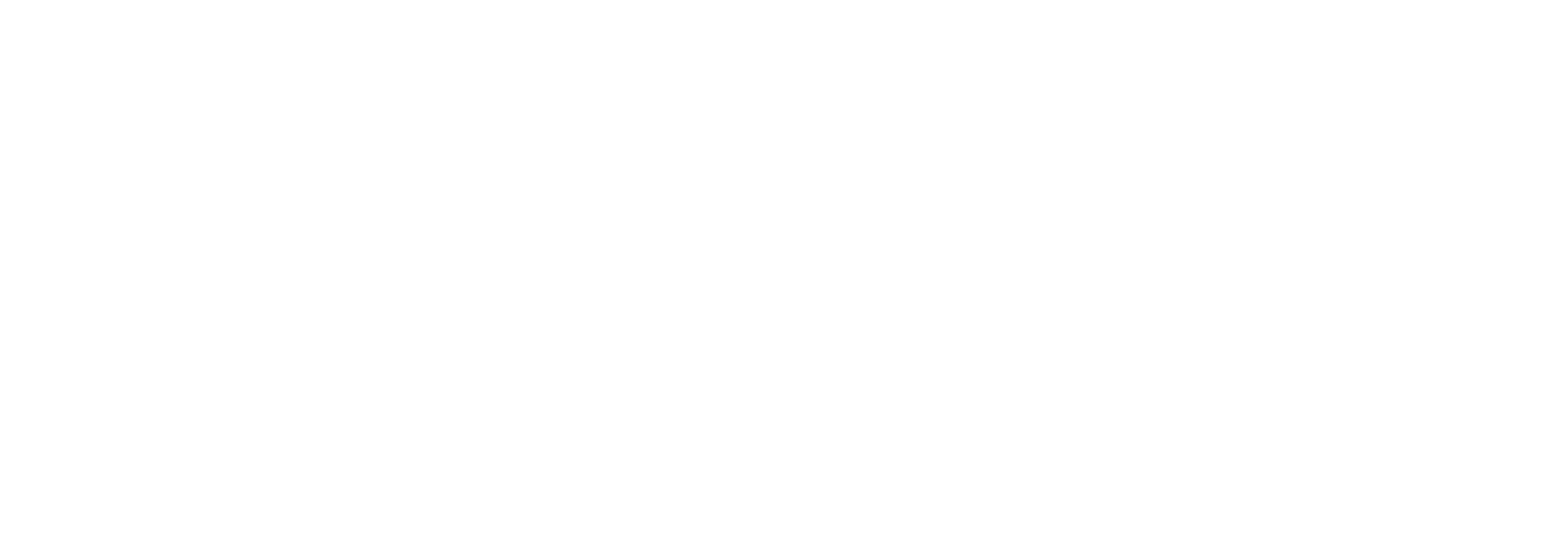original_images/logo-white-large-v2.png