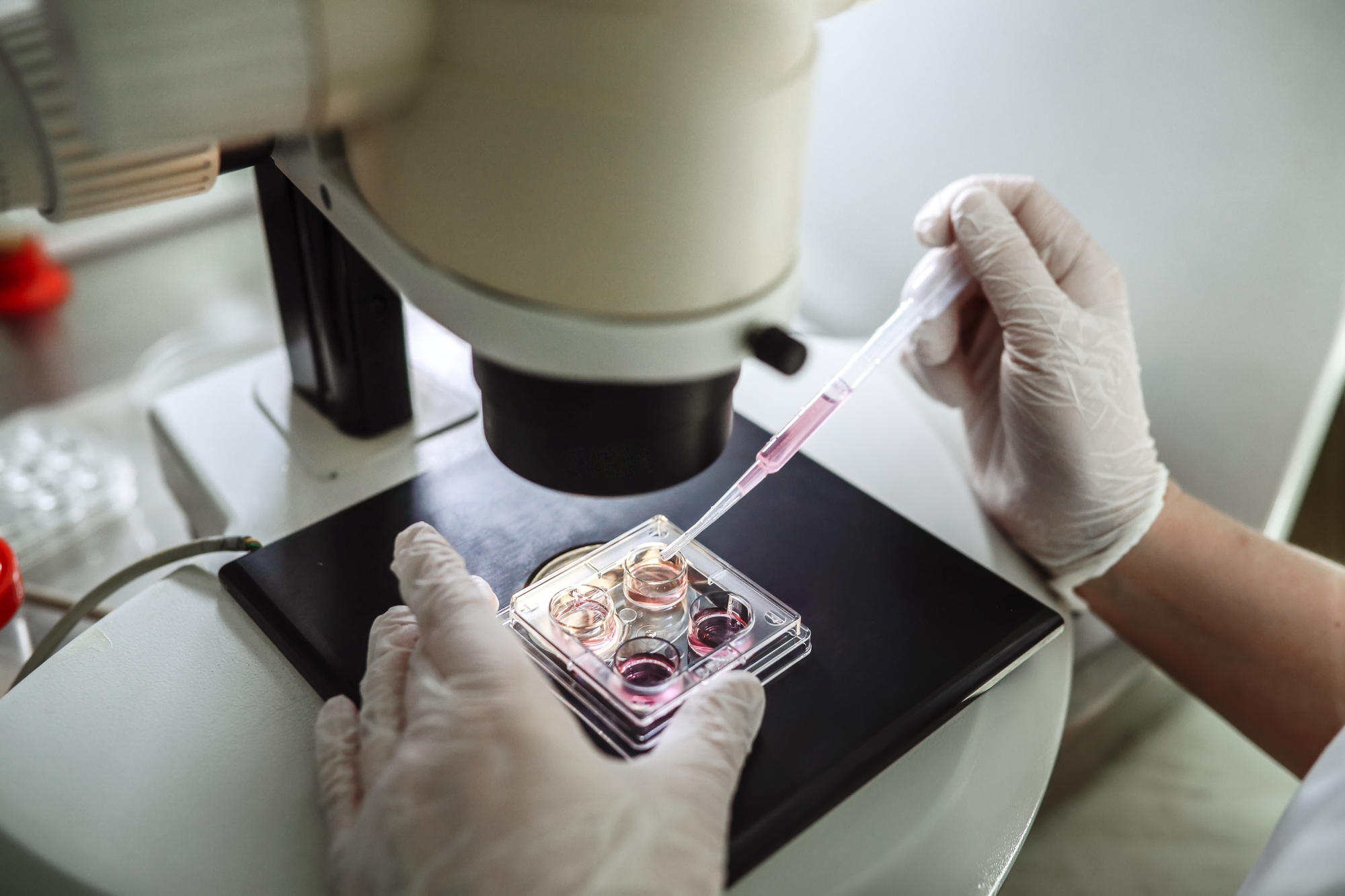 testing being done with cells under a microscope