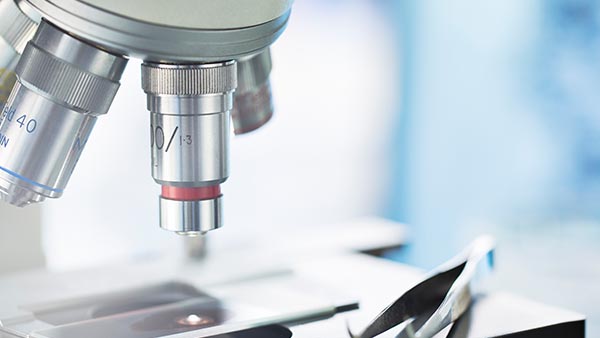 Mineral Metabolism and Clinical Research Clinic