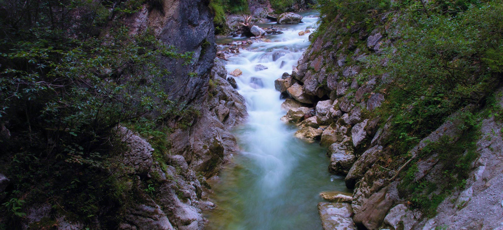 Image Here