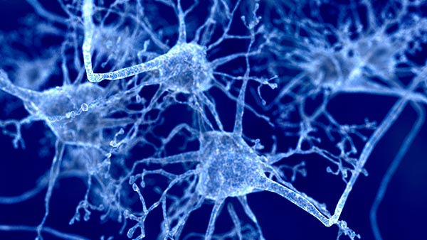 Department of Neurology