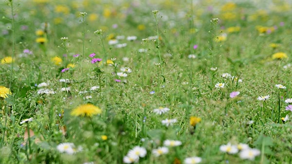 Otolaryngology Clinic