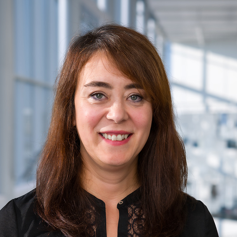 Ozlem Tekelioglu, Psy.D.
