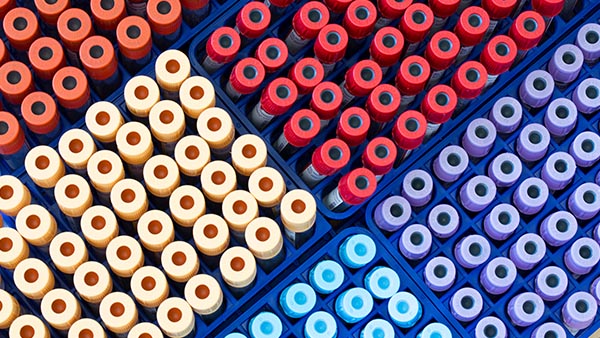 Pathology and Clinical Laboratory Services