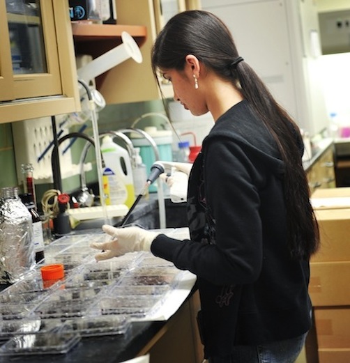 A person in dark clothing is working at a laboratory bench, likely conducting scientific experiments or research.