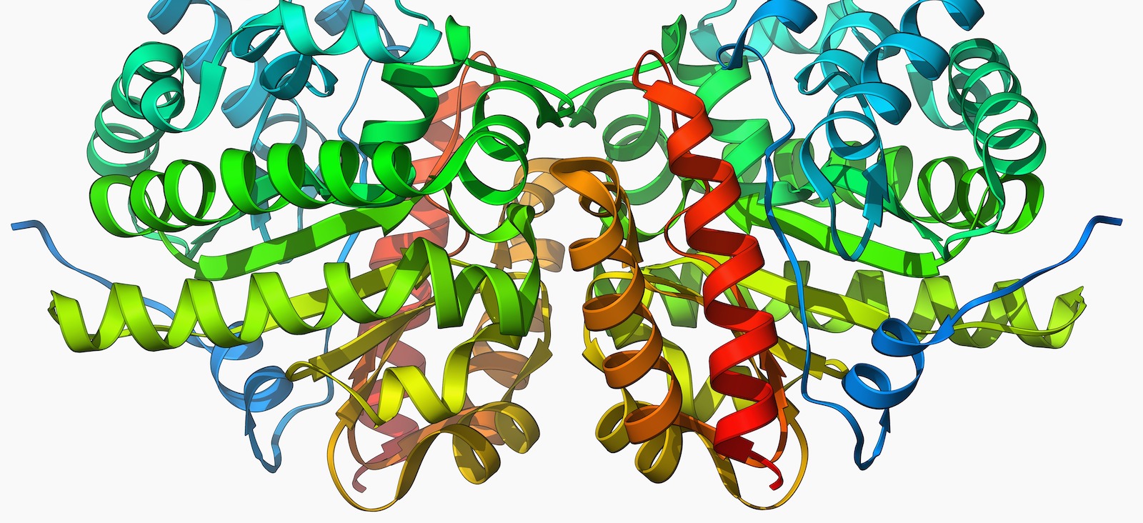Image Here