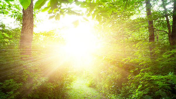 Psychiatry and Psychology