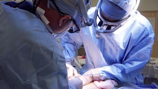 Two medical professionals performing a complex liver transplant operation.