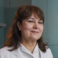 Zerrin Yetkin, M.D.