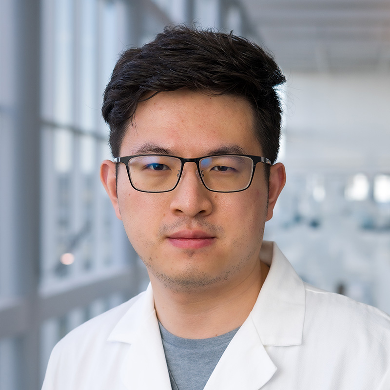 Ziyi Chen, M.D.